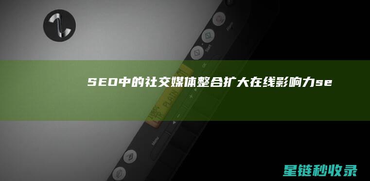 SEO中的社交媒体整合：扩大在线影响力 (seoli)