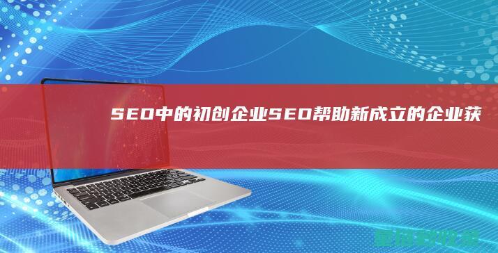 SEO中的初创企业SEO：帮助新成立的企业获得曝光 (seo原则)