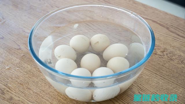 如何让鸡蛋保持最佳状态？延长保鲜期的绝妙方法 (如何让鸡蛋保存时间更长)