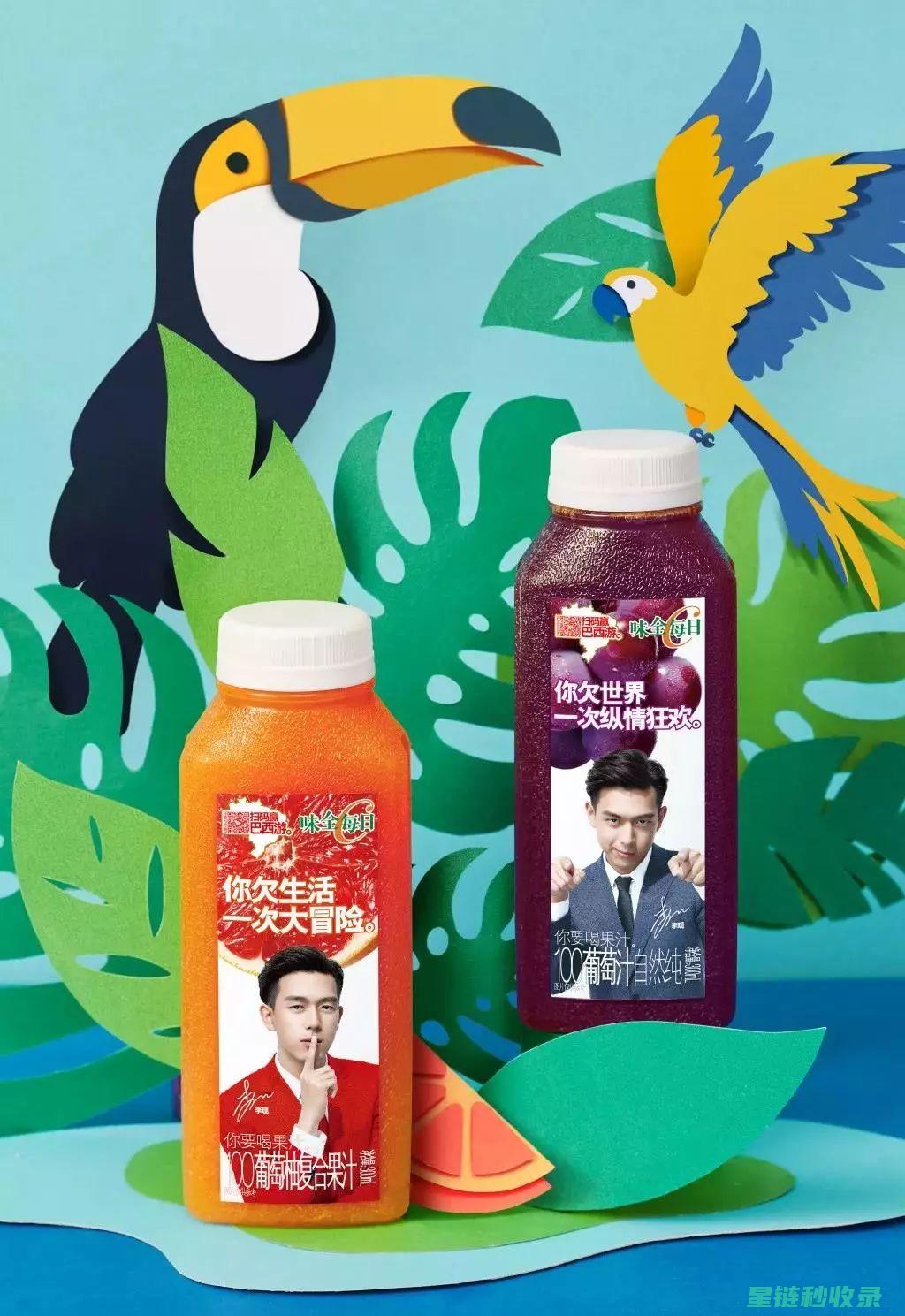 创意开罐之旅：解锁舌尖上的宝藏 (创意开罐之旅怎么做)
