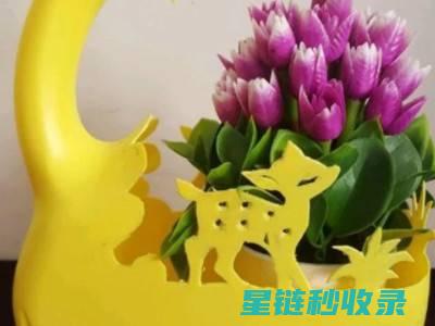 如何清洁花瓶：步骤详解与注意事项 (如何清洁花瓶污渍)