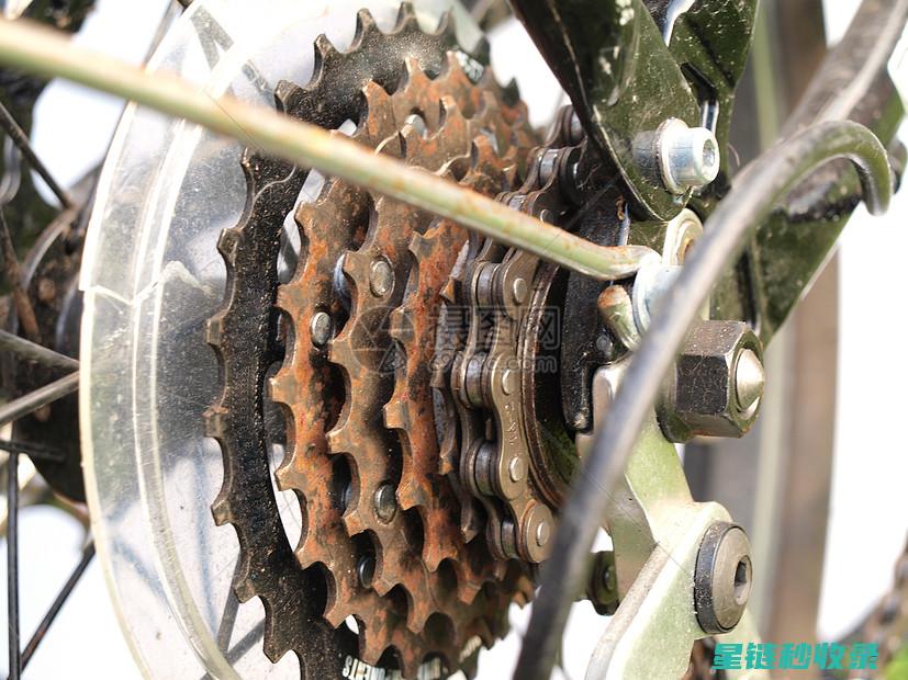 自行车链条润滑技巧全解析：延长使用寿命的秘密武器 (自行车链条润滑油)