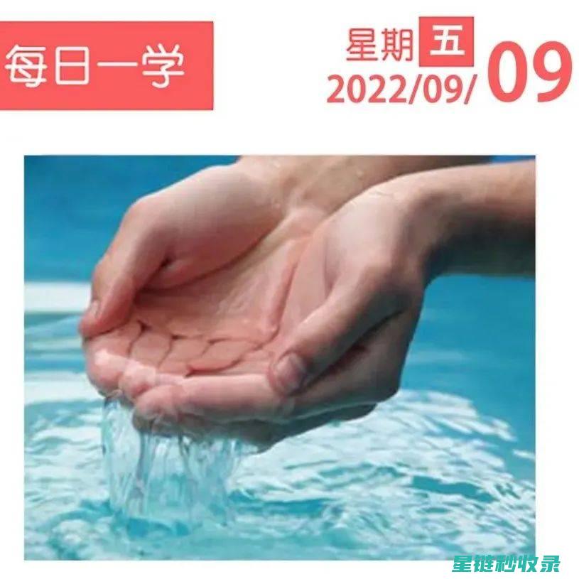 每日一练：提升书法技艺的高效方法与实例解析 (每日一练提升思维博采智慧提升自我)