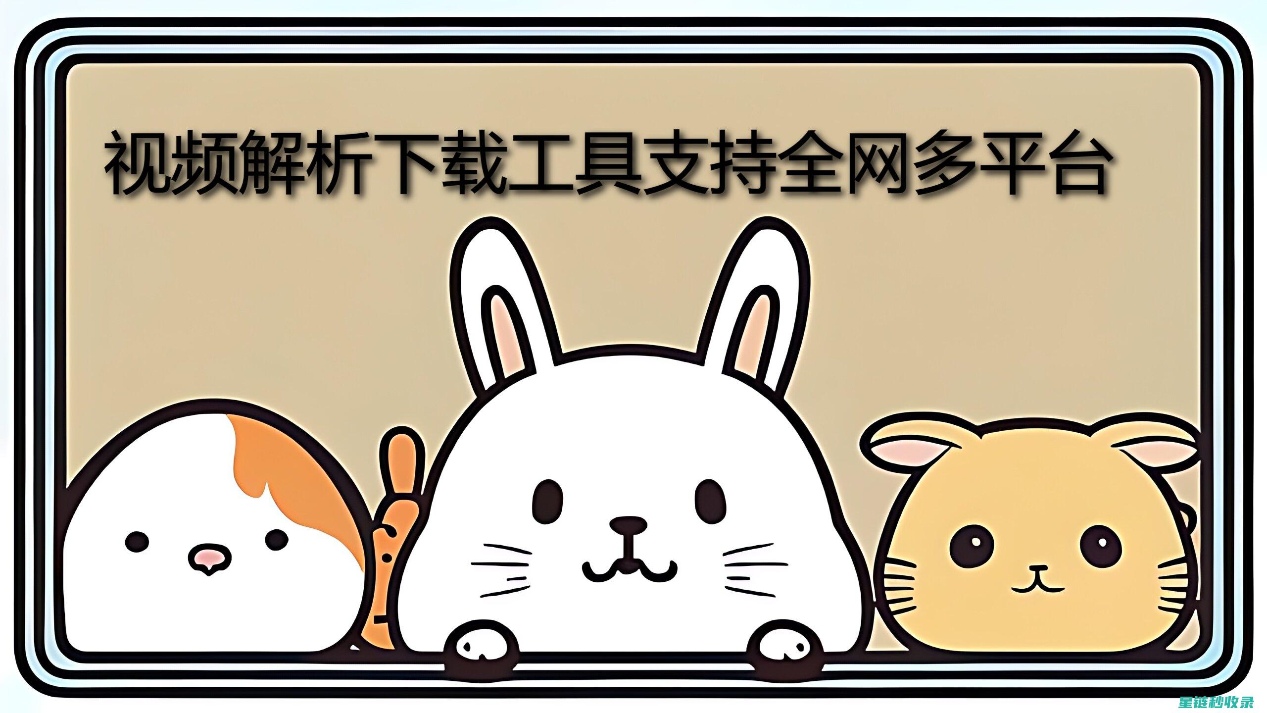深入解析网站优化：从页面加载速度到内容质量的全方位提升之道 (深入解析网站有哪些)