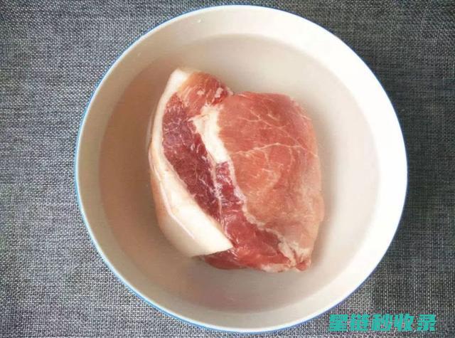 快速解冻肉类妙招大揭秘 (如何快速解冻肉类)