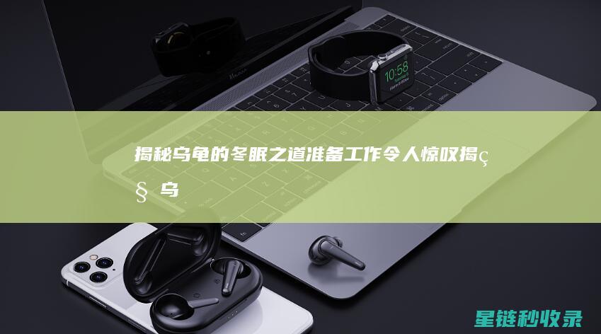 揭秘乌龟的冬眠之道：准备工作令人惊叹 (揭秘乌龟的冬眠过程)
