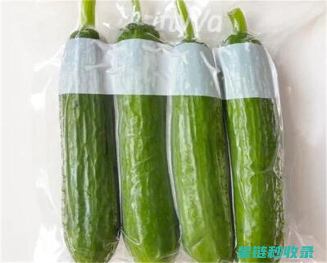 蔬菜保鲜延长：延长新鲜时间的实用技巧 (蔬菜保鲜延长保质期)