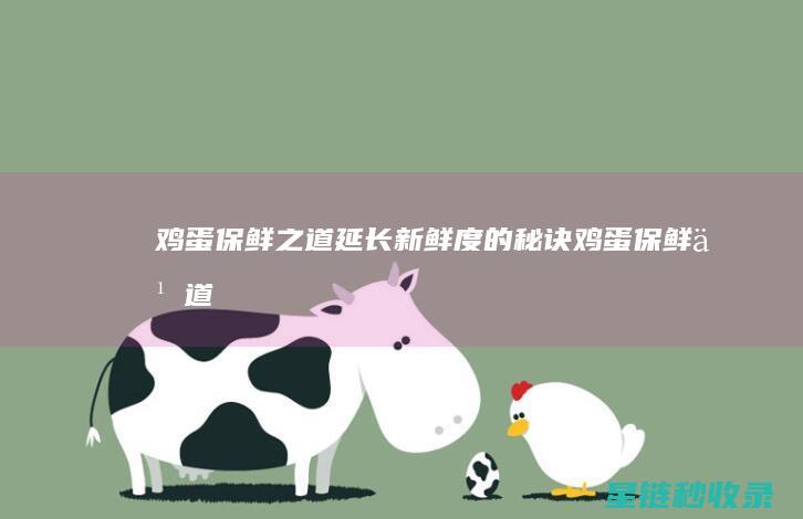 鸡蛋保鲜之道：延长新鲜度的秘诀 (鸡蛋保鲜之道图片)