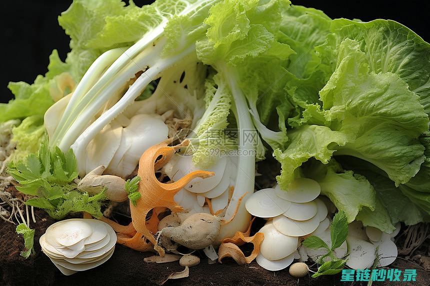 厨余垃圾除味，从源头控制污染 (厨余垃圾除味剂有哪些)