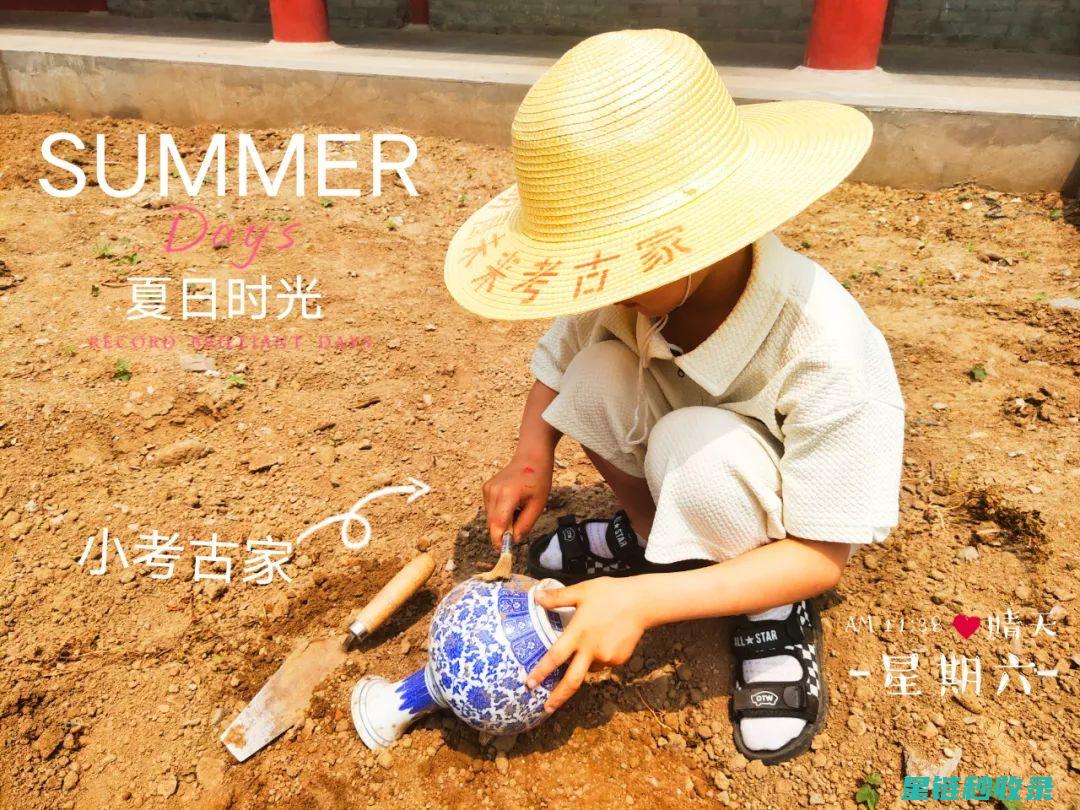 寻找遗失的小物件：它们在角落里静静等待 (寻找遗失的小孩节目)