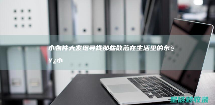 小物件大发现：寻找那些散落在生活里的东西 (小物件大道理)