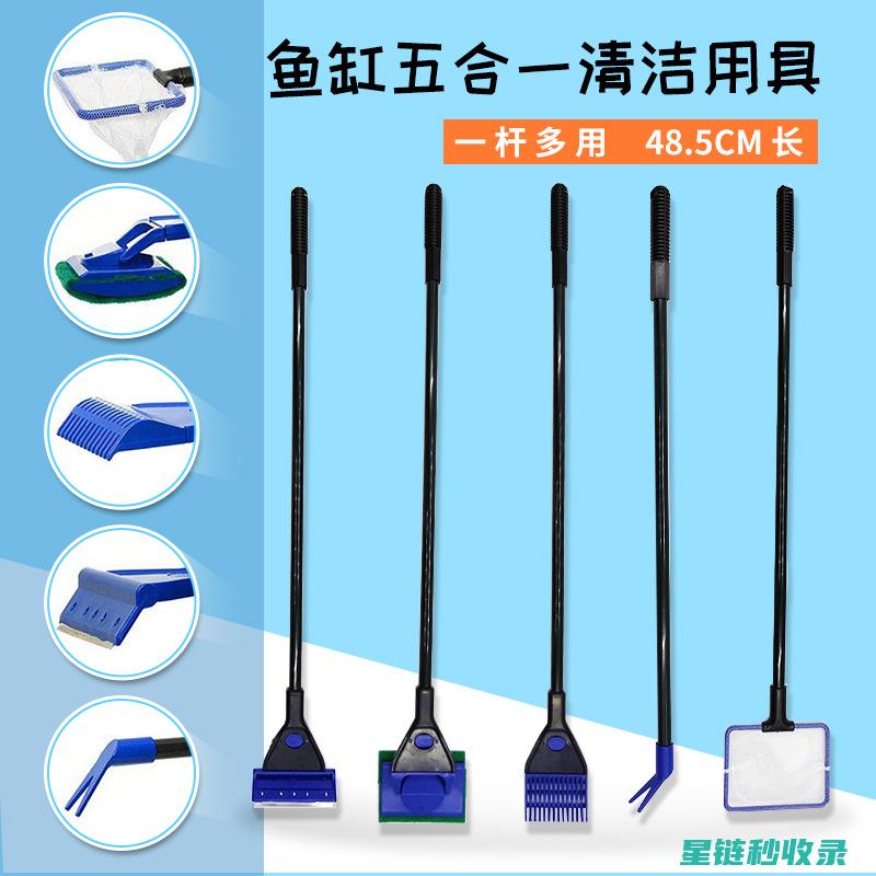 鱼缸清洁工具DIY：自制清洁工具的乐趣 (鱼缸清洁工具鱼)
