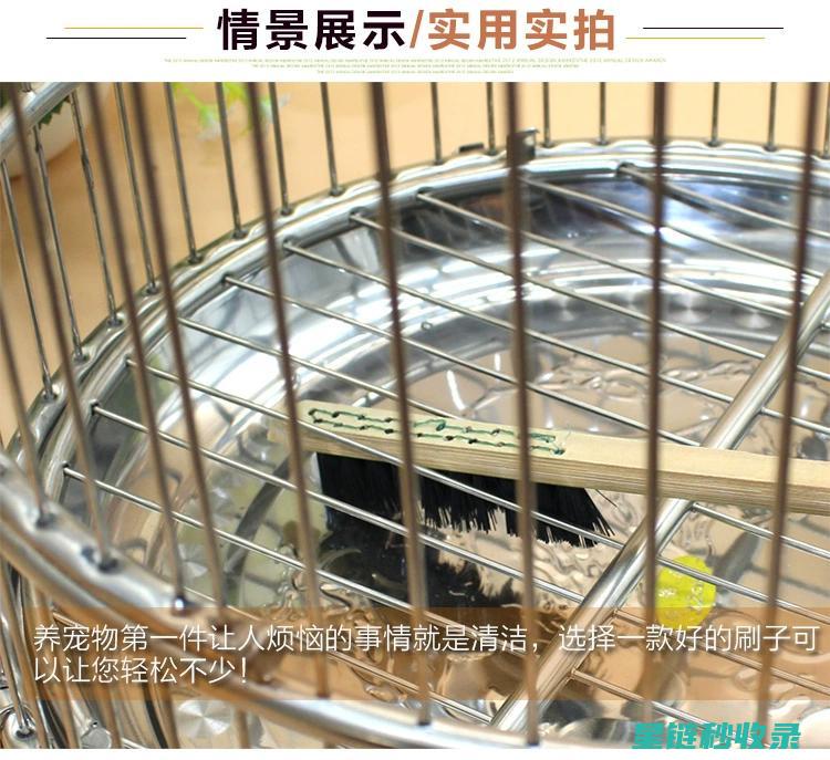 鸟笼清洁：清洁后如何正确晾干 (鸟笼 清洁)